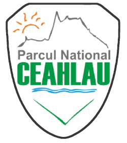 logo consiliul judetean neamt